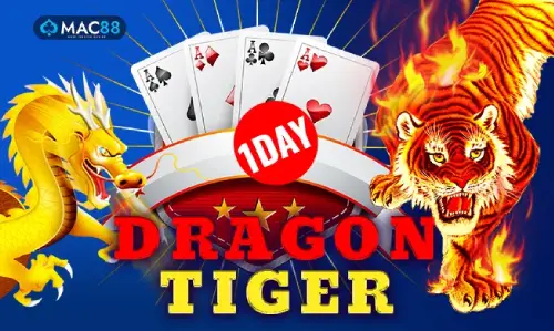 Dragontigeroneday